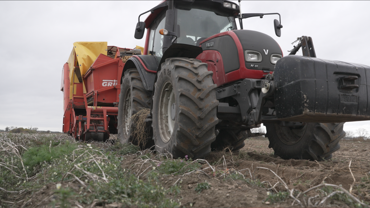 "Młody rolnik z TikToka w województwie łódzkim, łączący tradycję z nowoczesnością, modernizujący rodzinne gospodarstwo. Obraz ukazuje energicznych młodych Polaków, którzy z pasją wprowadzają innowacje w rolnictwie."