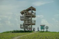 [ Przetarg] Mazurski Park Krajobrazowy chce wyremontować wieże obserwacyjne i szlaki. Jest jeszcze 8 dni na zgłoszenie 