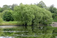 Park nad Jasieniem doczeka się nowych alejek. Urząd Miasta Łodzi ogłosił przetarg