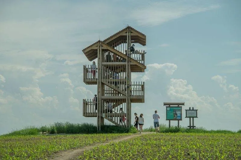 [ Przetarg] Mazurski Park Krajobrazowy chce wyremontować wieże obserwacyjne i szlaki. Jest jeszcze 8 dni na zgłoszenie 