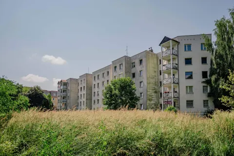 Park Puchalskiego na Bałutach w Łodzi czeka zielona metamorfoza. Pojawi się blisko 1500 nowych roślin