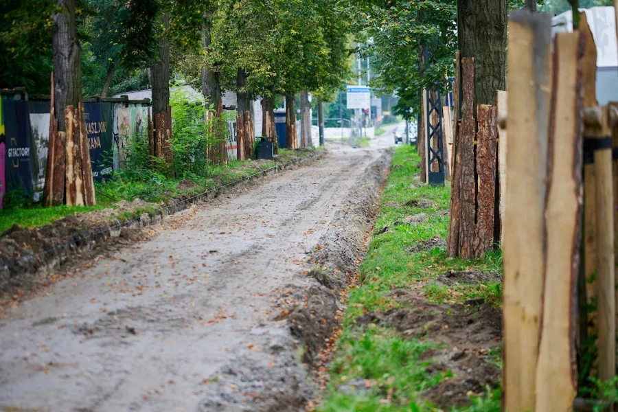 Blisko 500 km tras rowerowych w jednym postępowaniu. Łódzkie przygotowuje szkielet nowej sieci