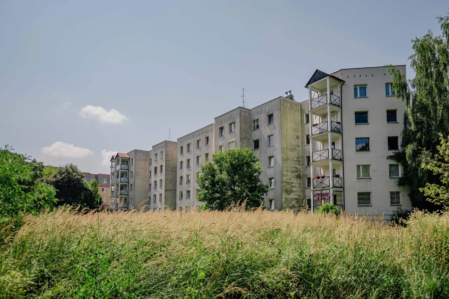 Park Puchalskiego na Bałutach w Łodzi czeka zielona metamorfoza. Pojawi się blisko 1500 nowych roślin