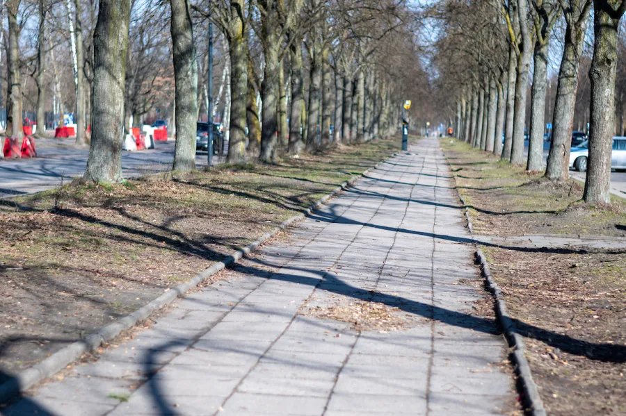 Nowe trasy rowerowe w Łodzi. Miasto rozbudowuje sieć i porządkuje istniejącą infrastrukturę