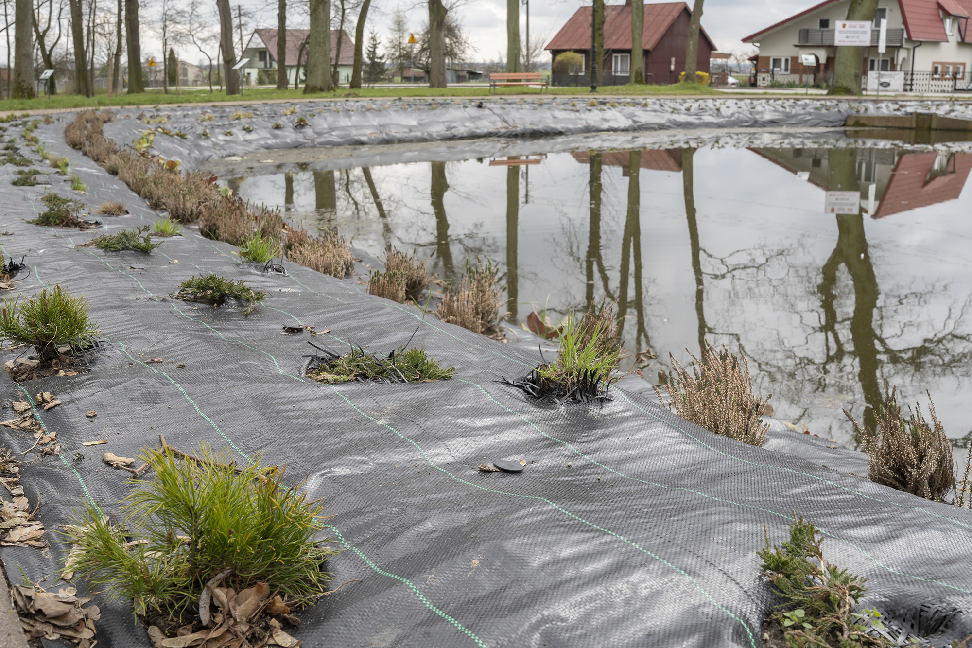 Miliony na zieleń w Łódzkiem. Rekultywacja, eko parki i inwestycje w przestrzeń