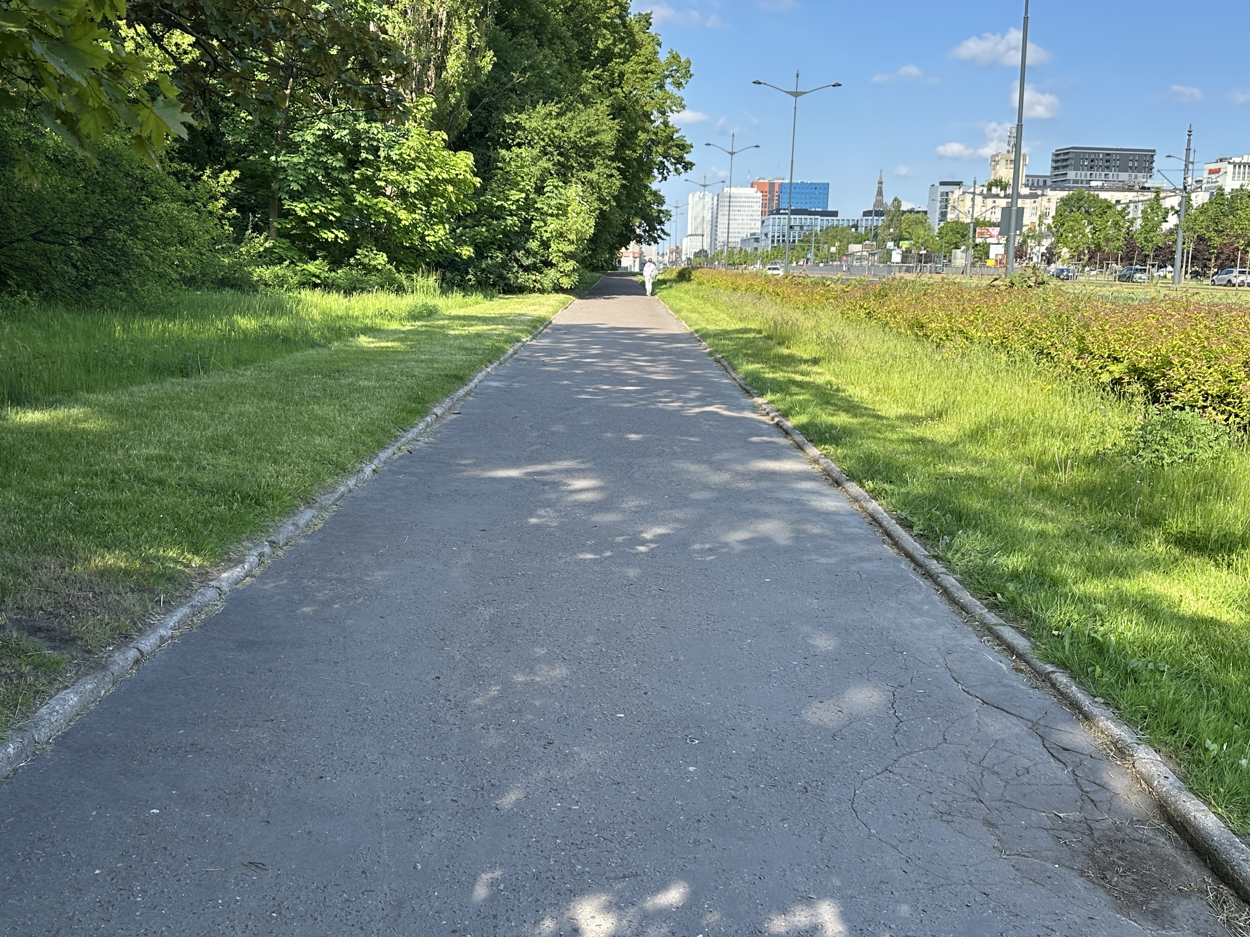 Nowa droga rowerowa połączy centrum Łodzi z Księżym Młynem. Powstanie brakujący odcinek na trasie W-Z