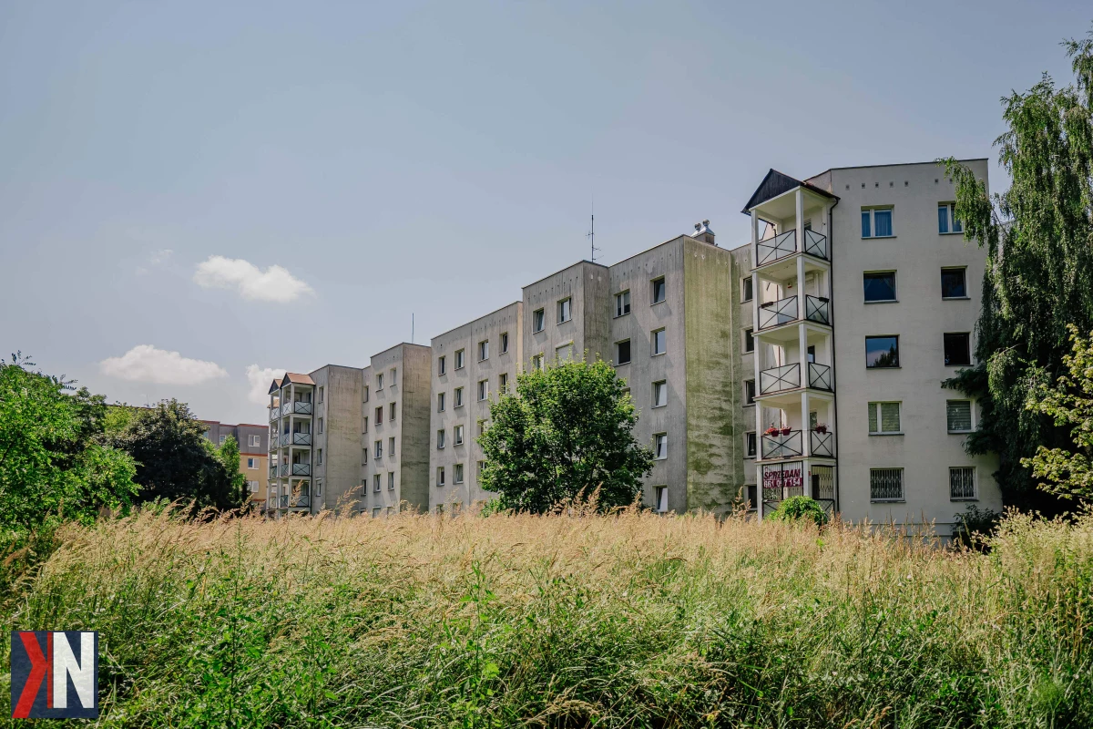 "Park Puchalskiego na Bałutach w Łodzi zyska nową zieleń - wizualizacja projektu z 1500 nowymi roślinami w tle, przedstawiająca przyszły, odnowiony krajobraz parku leśnego."