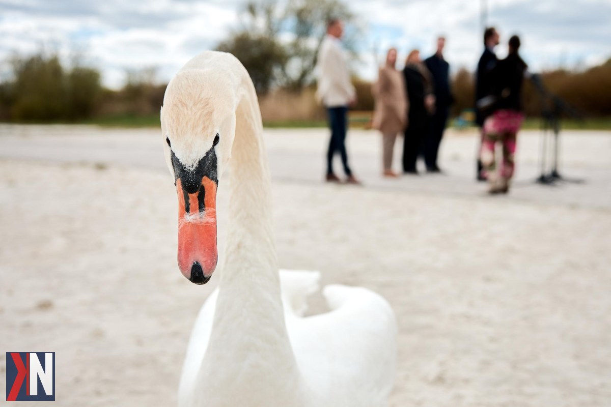 "Zalew Bugaj przed modernizacją – wizja przyszłości Piotrkowa Trybunalskiego z inwestycją 60 mln zł. Miejsce pełne historii i niewykorzystanego potencjału, teraz zyska nowe oblicze dzięki planowanym pracom, które odmieni region."