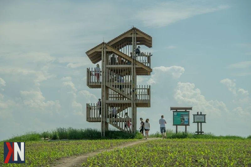 Wieża obserwacyjna w Mazurskim Parku Krajobrazowym - ogłoszenie o przetargu na modernizację infrastruktury turystycznej, w tym remonta wież i szlaków w rejonie Mikołajek.