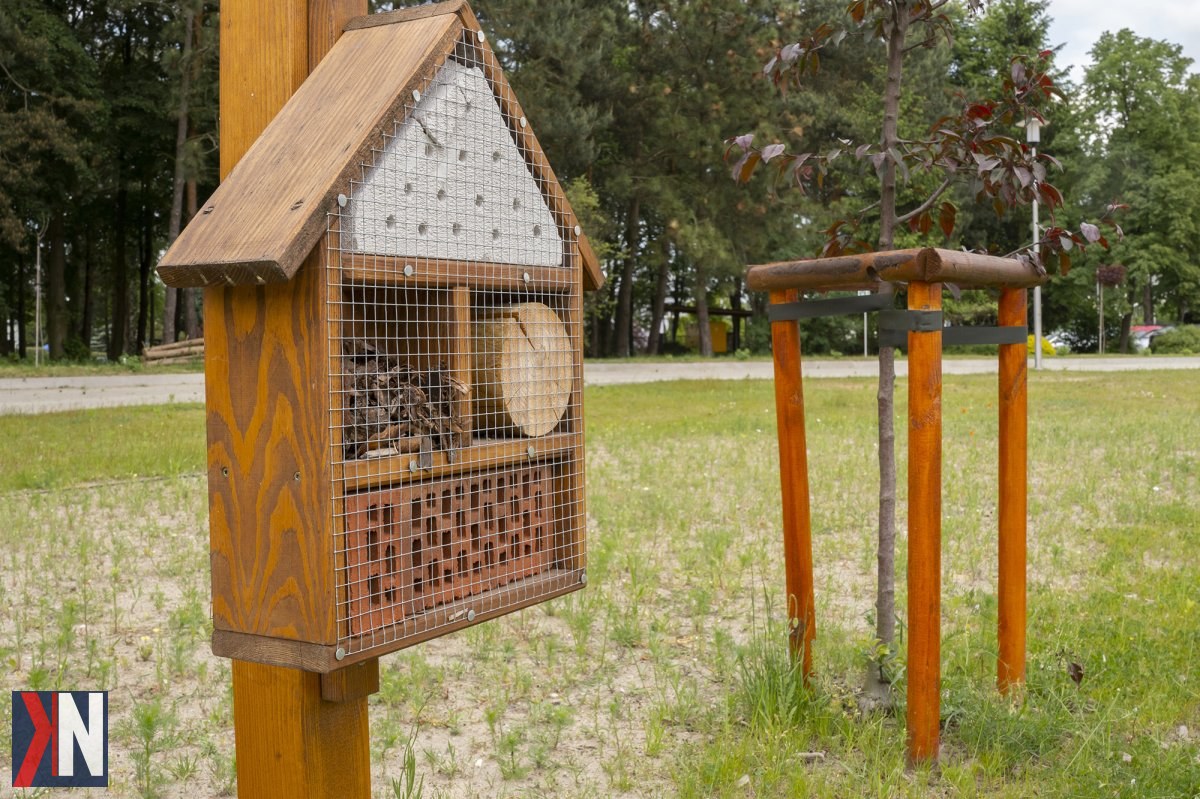"Rekultywacja terenów zielonych w Łódzkiem – wizualizacja eko parków i inwestycji. Ponad 11,5 mln zł z Funduszy Europejskich na konkretne projekty w województwie łódzkim, które wzbogacą przestrzeń naturalną i wspierają działania proekologiczne."