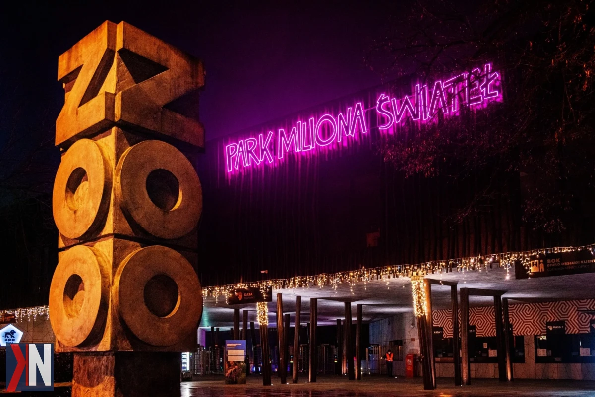 Iluminacje inspirowane 'Alicją w Krainie Czarów' w Orientarium ZOO Łódź, Park Miliona Świateł – od 23 października zaprasza na magiczną podróż pełną świateł, kolorów i bajkowych postaci, idealnych na jesienne wieczory w Łodzi.