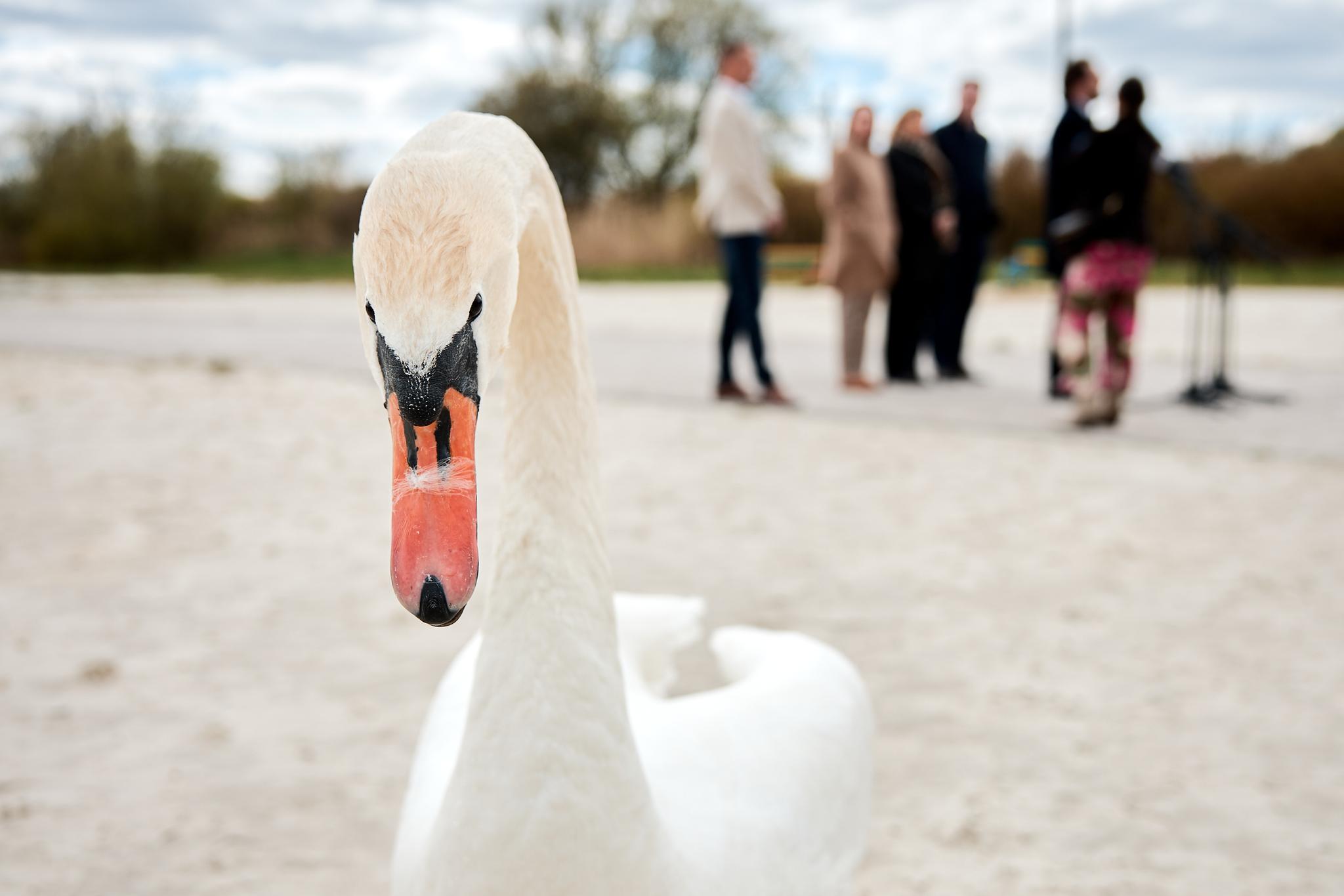 Zalew Bugaj przed wielką zmianą. Blisko 60 mln zł na inwestycje, które mają odmienić Piotrków i region